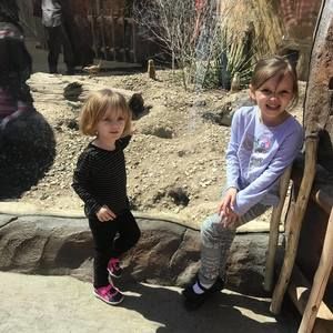 Meet your Posher, Josh